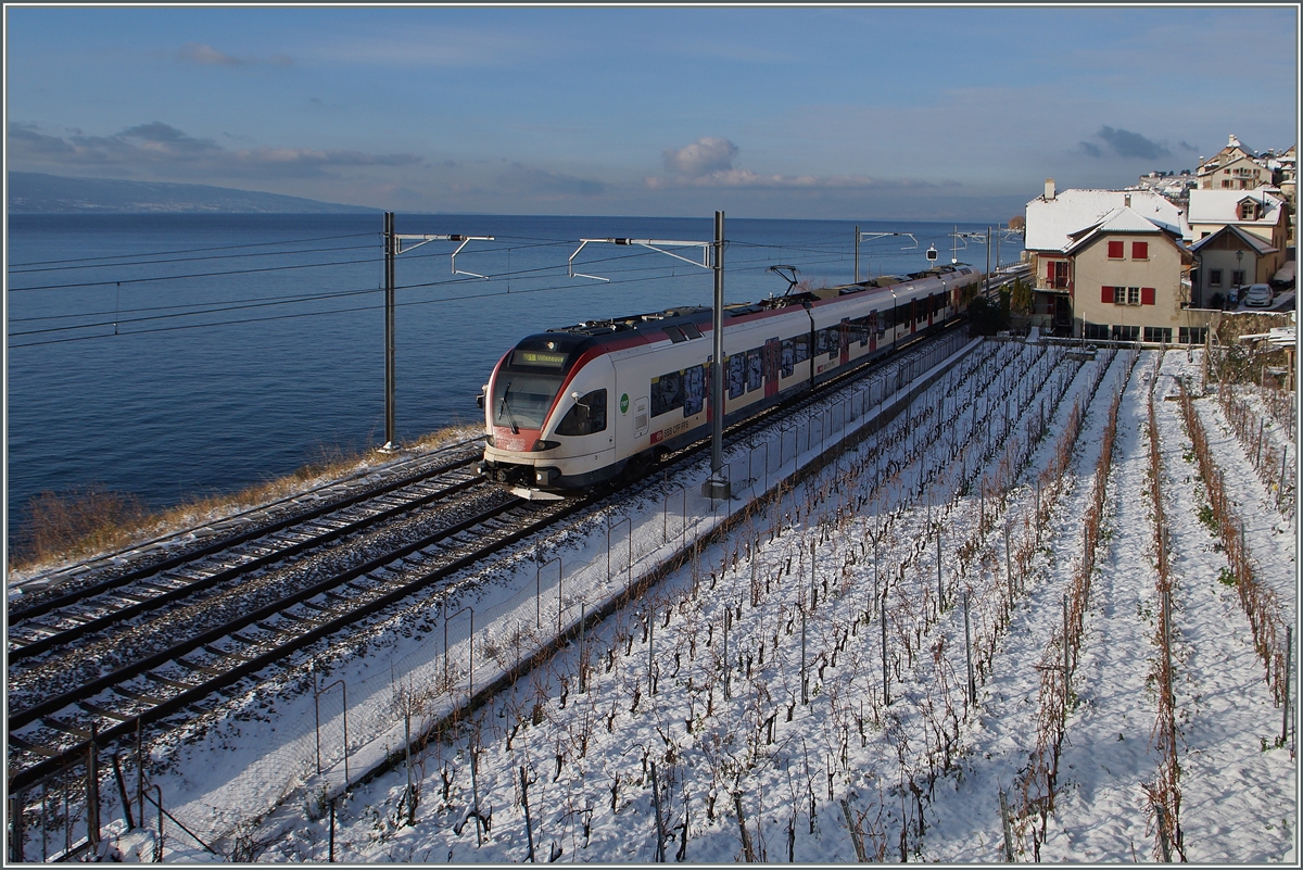 Ein   Flirt  am Keine See bei St-Saphorin.
30. Dez. 2014