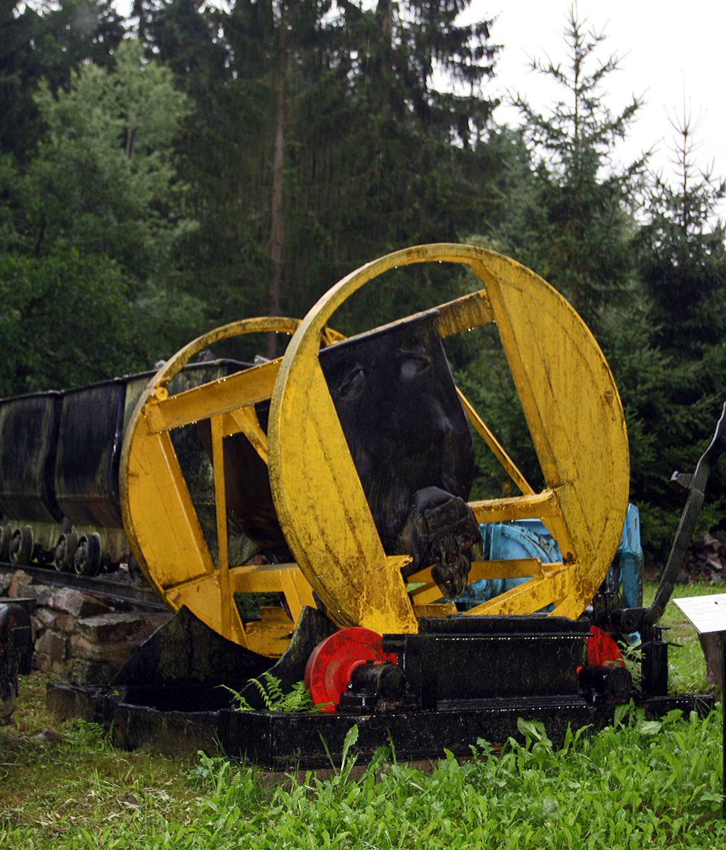Ein Kreiselwipper (Kreiselkipper, Rotationskipper bzw. Waggonkippanlage) als Entladungsvorrichtung für 600 mm Förderwagen /Grubenloren am 25.08.2013 beim Besucherbergwerk Markus Röhling Stolln in Annaberg-Buchholz – Frohnau. 

Solche Entladungsvorrichtungen gibt es für normalspurige offene Güterwagen, nur die Dimissionen sind dann andere. Charakteristisch ist dabei, dass der gesamte Wagen gekippt wird. 
