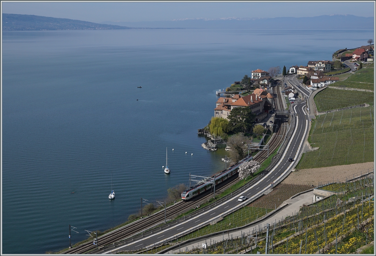 Ein SBB Flirt RABe 523 ist bei Rivaz auf dem Weg nach Lausanne. 

5. April 2021
