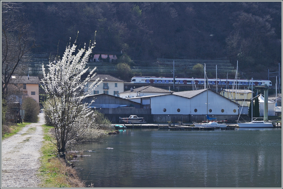 Ein TILO Flirt erreicht als S30 25331 von Cadenazzo nach Malpnes Aeroporto Magadino Vira.
 19. M�rz 2014
