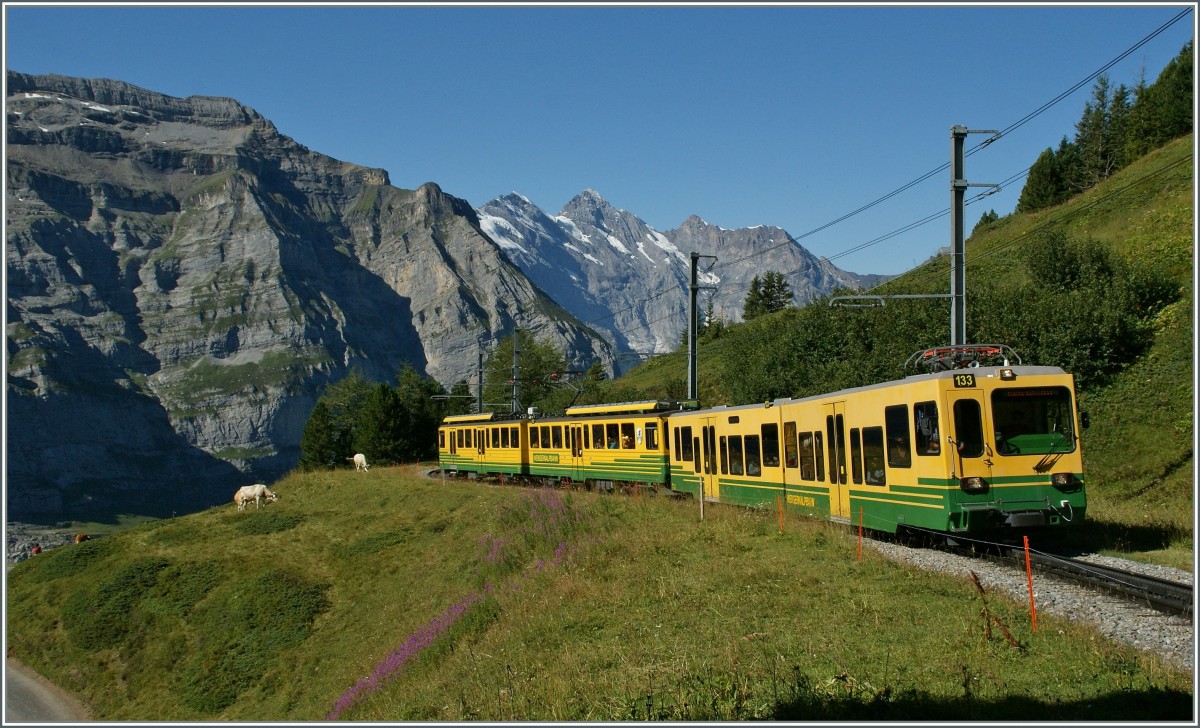Ein WAB Regionalzug zwischen Wengener Alp und der Kleinen Scheidegg. 
21. August 2013