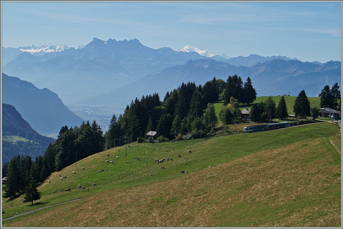 Ein Zug und vierzig Linsenputzer: der CEV Beh 2/4 71 (Train des Etoiles) erreicht die Gipfelstation Les Pleiades.
27. August 2015