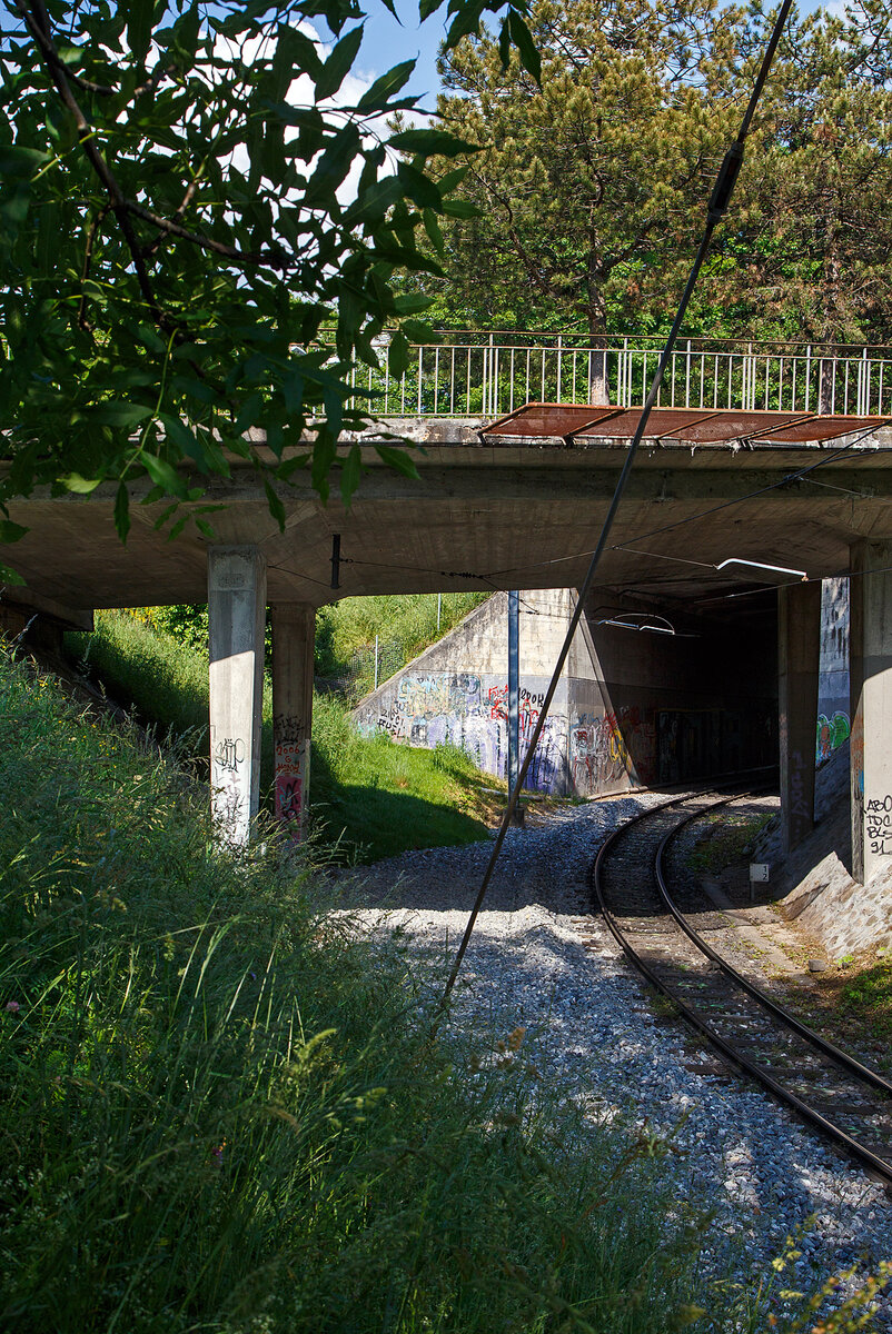 Es war einmal....
Hier war mal die ehemalige MVR (ex CEV) Haltestelle Vevey Gilamont. Heute muss man weiter hoch zur neuen Haltestelle Vevey Vignerons (hinter dem Tunnel) fahren, hier am 26. Mai 2023.

Für das Einschottern des ehemaligen Bahnsteiges brauchte man übrigens eine Sperrpause von 2 Tagen.

Zum Fahrplanwechsel am 11. Dezember 2022 wurde die Station Gilamont geschlossen. Zeitgleich wurde die neue Station Vevey Vignerons in Betrieb genommen. Bereits im Juli 2019 wurde die Station Clies aufgrund von Sicherheitsdefiziten geschlossen.