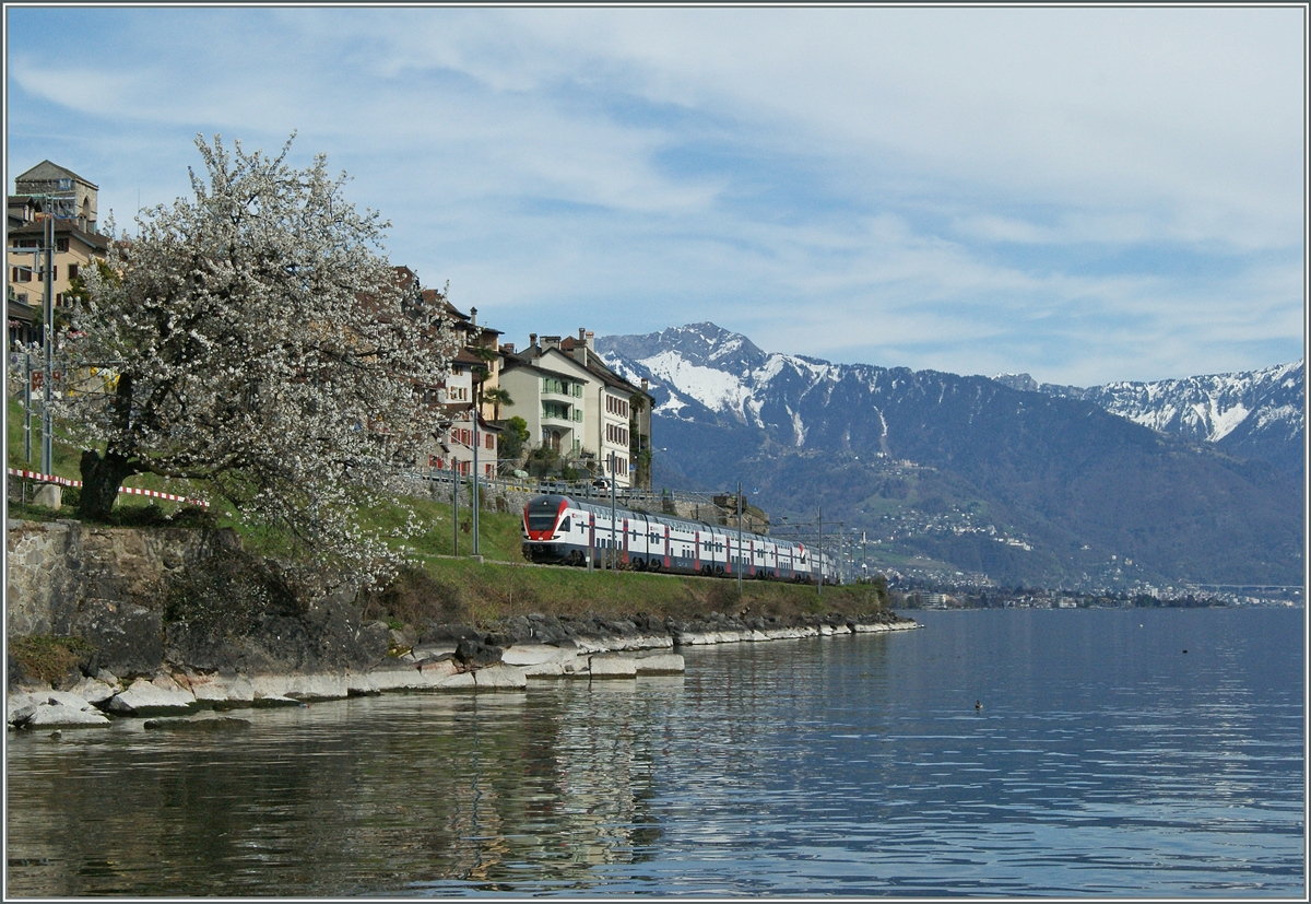 Frühling im Lavaux: Ein RABe 511 als RE von Vevey nach Genève bei St-Saphorin.
15. April 2015
