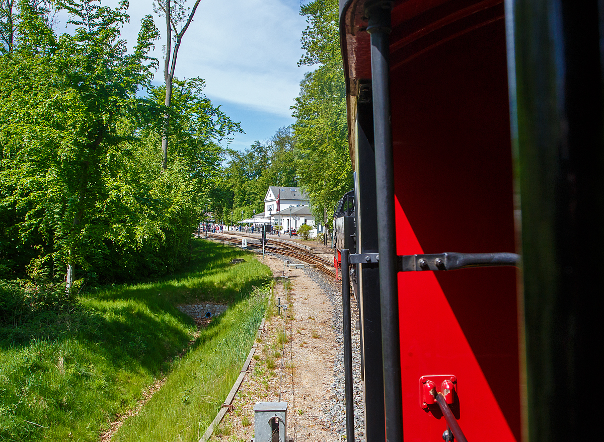 Gef�hrt von der 99 2322-8 der Mecklenburgischen B�derbahn Molli erreicht unser Molli (MBB Dampfzug von Bad Doberan nach K�hlungsborn-West) am 15.056.2022 nun bald den Bahnhof Heiligendamm.