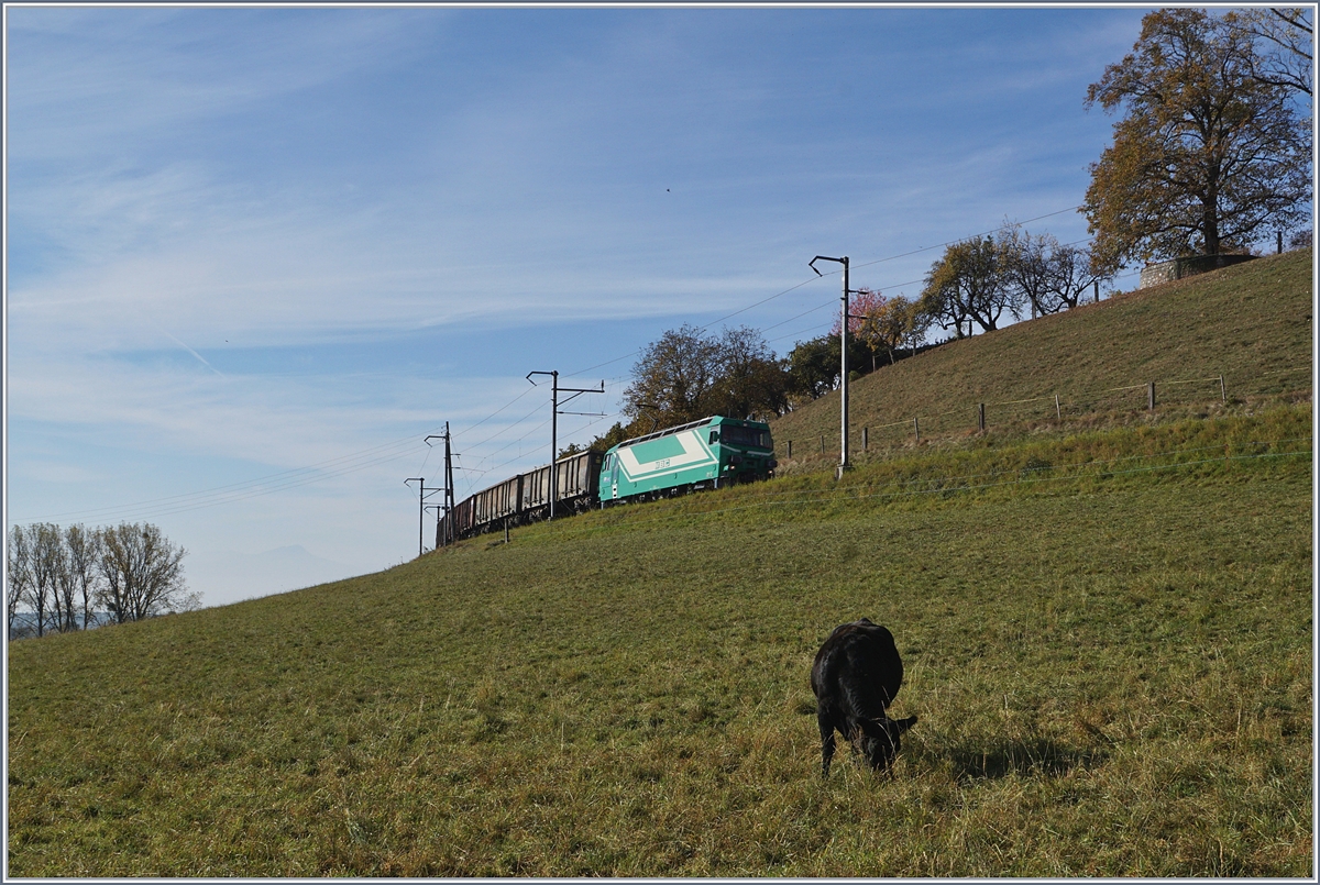 Gerade noch erwischt: Die BAM Ge 4/4 21 mit ihren leeren Eaos f�r den Zuckerr�benverlad kurz vor Chardonney-Ch�teau bei der Fotostelle  Schwarze Kuh . 
17. Okt. 2017 