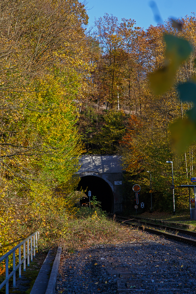 Herbstzeit im Hellertal.....und der Zug kommt....
Der VT 502 (95 80 1648 102-9 D-HEB / 95 80 1648 602-8 D-HEB) ein Alstom Coradia LINT 41 der neuen Generation der HLB (Hessische Landesbahn GmbH) befährt am 01.11.2021 den Herdorfer Tunnel (137 m lang) und erreicht am 01.11.2021 bald den Bedarfs-Haltepunkt Herdorf-Königsstollen. 

Er fährt als RB 96  Hellertalbahn  die Verbindung Neunkirchen - Herdorf - Betzdorf.
