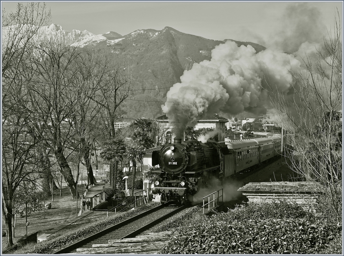 Herrlich dampfend und rauchend fährt die 01 202 mit ihrem langen Extrazug nach Frankfurt und Nürnberg kurz nach der Abfahrt in Locarno bei Muralto vorbei. 
22. März 2018