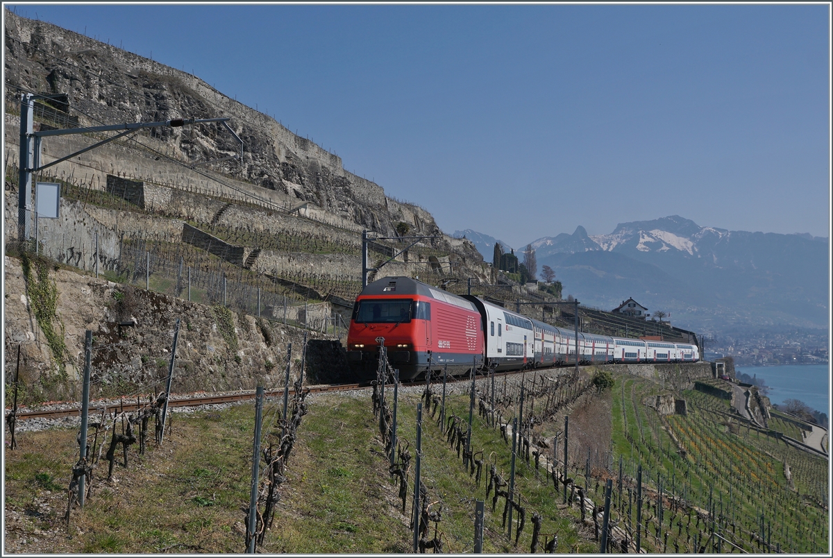 Heute gab es wieder einen Umleitungsverkehr via die Train des Vignes Strecke und da ich zwischenzeitlich festgestellt hatte, dass neben den RABe 511 auch Re 460 geführte Züge in den Genuss einer Fahrt über diese schöne Strecke kommen, entschloss ich mich wieder einmal das Lauvaux und die Trains de Vigens Strecke aufzusuchen: Die SBB Re 460 092-9 ziert mit ihrem Dosto 2000 RE 30266 von St-Maurice nach Genève Aéroport die Landschaft des Lavaux oberhalb von St-Saphorin.

20. März 2022