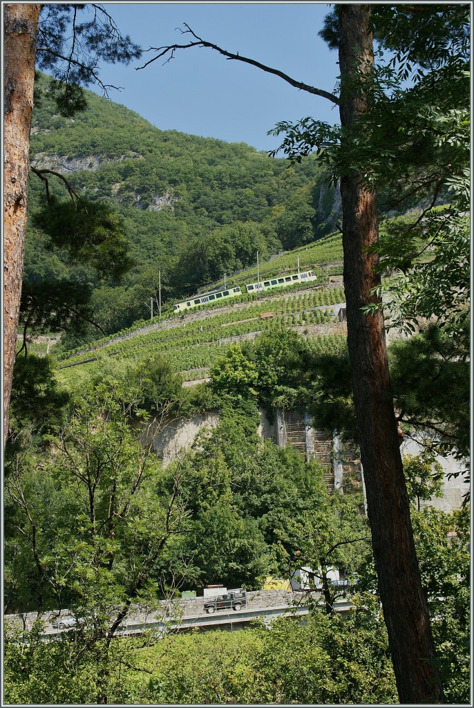 Hoch oben am Hang f�hrt ein A-L Zahnradbahnzug talw�rts. 
Bei Aigle, den 22. August 2013