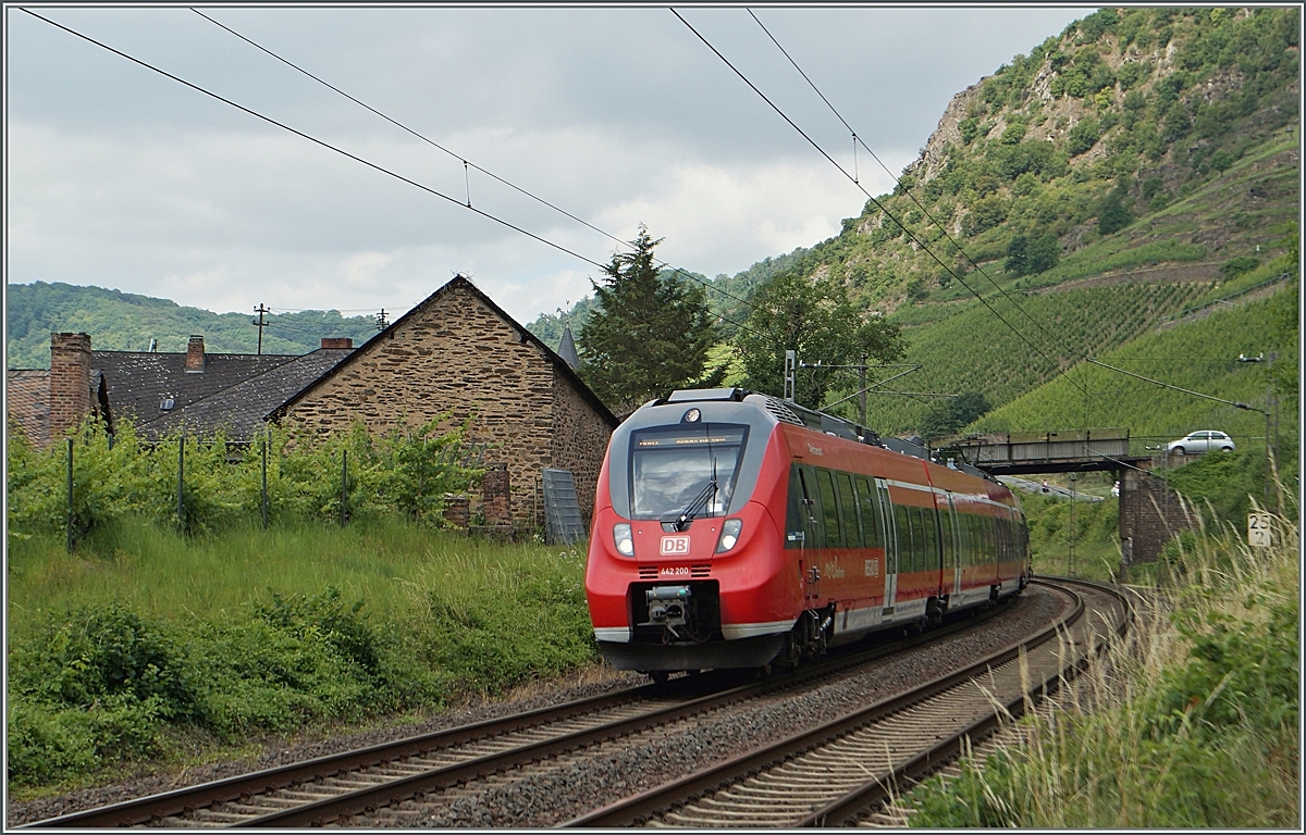 Im wundersch�en Mosel-Tal f�hrt ein  Hamster  bei Hatzenport Richtung Koblenz.
21. Juni 2014