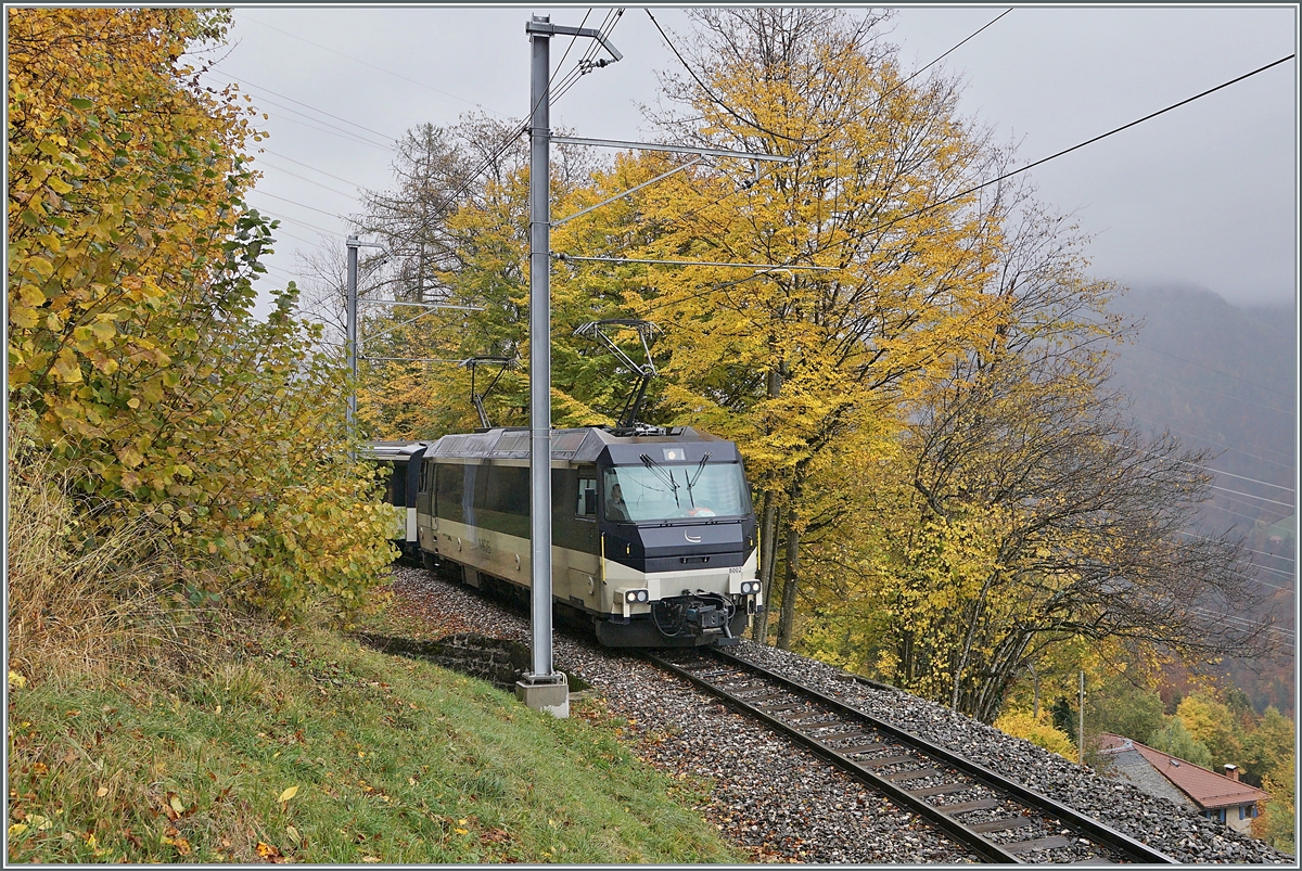 Kurz nach Sendy-Sollard zeigt sich die MOB Ge 4/4 8002 an der Spitze ihres Regionalzugs von Zweisimmen nach Montreux zwischen bunten Herbstfarben.

28. Okt. 2020