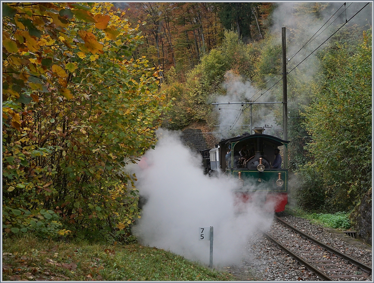 La Dernière du Blonay - Chamby - das 50. Jahre Jubiläum beschliesst die Blonay Chamby Bahn mit einer Abschlussvorstellung und dies mit viel Dampf - dieser verdeckt zwar etwas die G 2/2 aber vor allem verdeckt er fast vollständig das  rote Beiwerk  neben dem Strauch - auch eine Lösung.

Das Bild entstand unweit von  Vers-chez-Rober  am 28. Okt. 2018.
