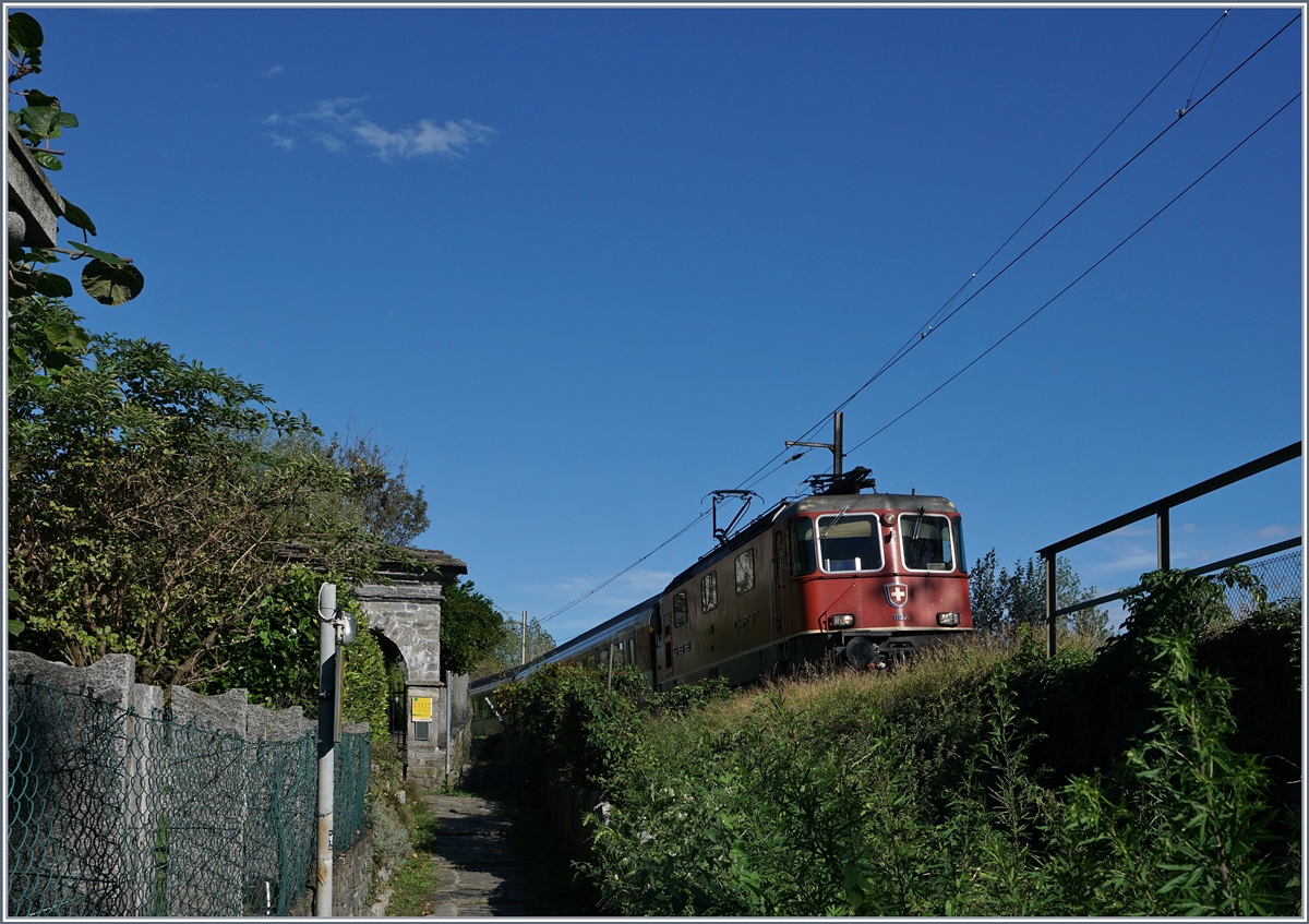 Lange auf den IR gewartet, dann gegangen, und als er dann kam war ich in einer etwas schlechten Position - da diese Züge seit dem Fahrlplanwechsel nicht mehr fahren, denke ich, kann ich es doch wagen, dieses Bild zu zeigen, zeigt es doch die leicht verdeckte Ansicht der Fernzüge, wie man sie jahrelang von der Promenade sehen konnte.
Re 4/4 II mit einem Gotthard IR kurz vor Locarno.
19. Sept. 2016