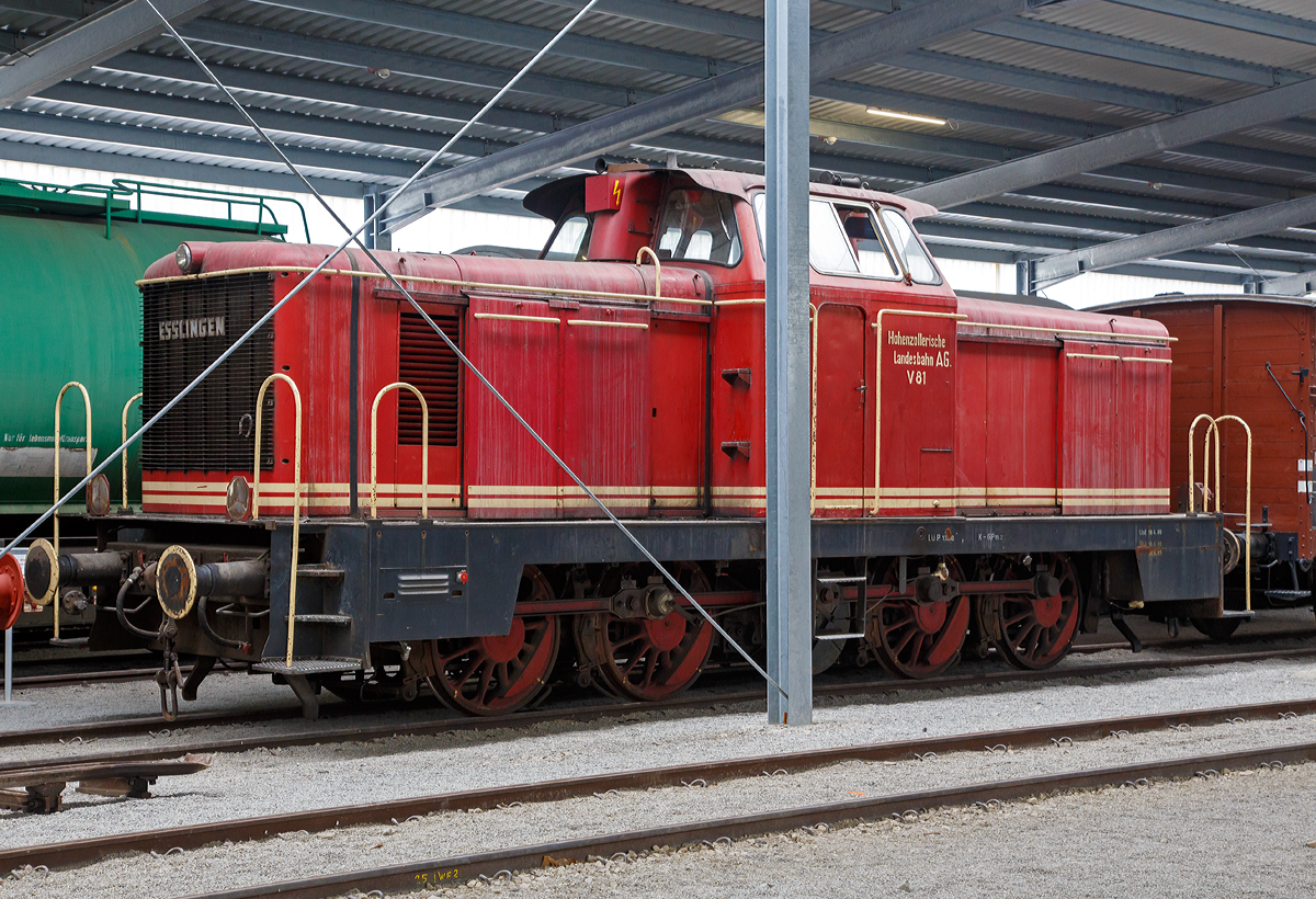 Leider sehr ungünstig hinter dem Pfeiler plaziert...
Die ex HzL V81 am 09.09.2017 in der SVG Eisenbahn-Erlebniswelt Horb. 

Die Lok wurde 1956 von der Maschinenfabrik Esslingen unter der Fabriknummer  5212 gebaut und an die Hohenzollerische Landesbahn AG (HzL) geliefert, 2012 ging sie an die SVG Eisenbahn-Erlebniswelt, Horb (Neckar).

Die Maschinenfabrik Esslingen entwickelte ihren Typ  Alb  extra für die HzL. Es war aber auch gleichzeitig das einzige Exemplar dieses Typs. Für die HzL war es die erste Diesellok überhaupt. Auf Grund positiver Erfahrungen mit Dieseltriebwagen im Personenverkehr, bestellte die HzL in den 50er Jahren bei MaK und Esslingen je eine 4 achsige Diesellokomotive. Diese Loks sollten um die 900 PS haben. Bei MaK war solch ein Typ bereits vorhanden (die 850 D). Die Maschinenfabrik Esslingen musste ihren Typ neu entwickeln. Es wurde eine Weiterentwicklung des Typs  Haifa , ein C-Kuppler mit 550 PS, für die Israelische Staatsbahn. Am 30. August 1957 wurde die Lok der HzL übergeben und als V81 in den Bestand übernommen (die MaK Lok wurde 1958 als V82 in den Bestand übernommen). 

Technische Daten:
Spurweite:  1435 mm
Achsfolge:  D
Länge über Puffer:  11.300 mm
Raddurchmesser neu:  1.000 mm
Dienstgewicht:  62 t
    
Motor:  Daimler-Benz V12-Zylinder -Dieselmotor vom Typ MB 820 Bb (mit Abgasaufladung)
Leistung: 699 kW (950 PS)
Höchstgeschwindigkeit:  60  km/h
Leistungsübertragung: hydraulisch, auf mittige Blindwelle und über Kuppelstangen auf die Räder.