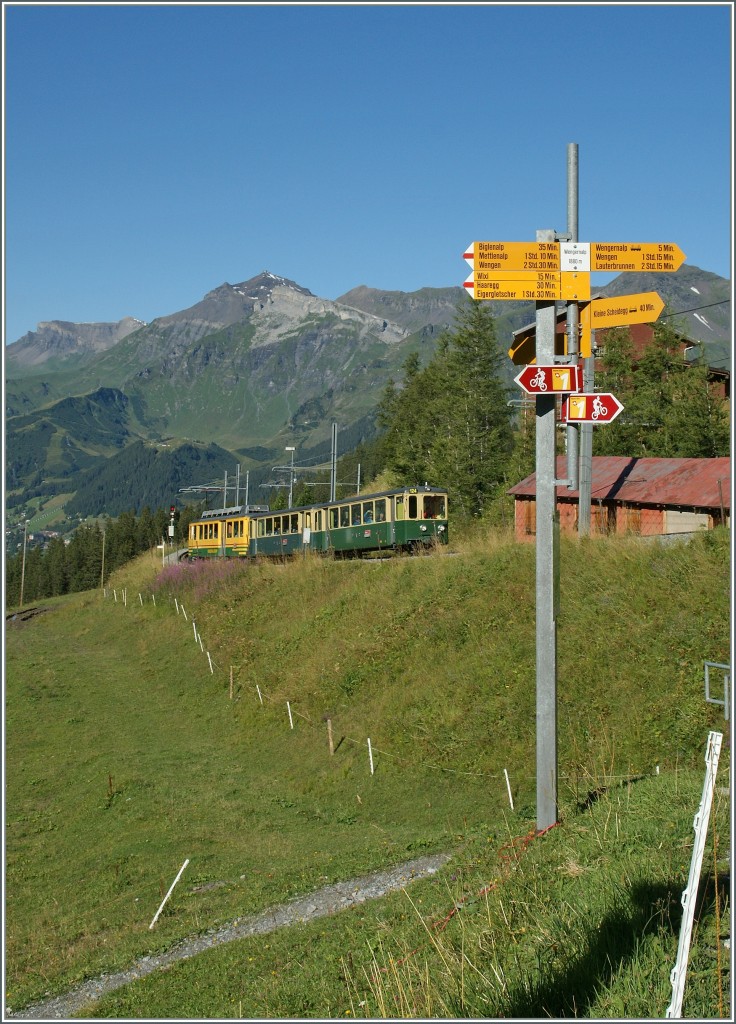 Neben vielen Wanderwegen gibt es in der Jungfrauregion auch zahleiche Z�ge zu entdecken. 
WAB Regionalzug auf dem Weg zur Kleien Scheidegg bei der Wengeneralp. 
21. Aug 2013