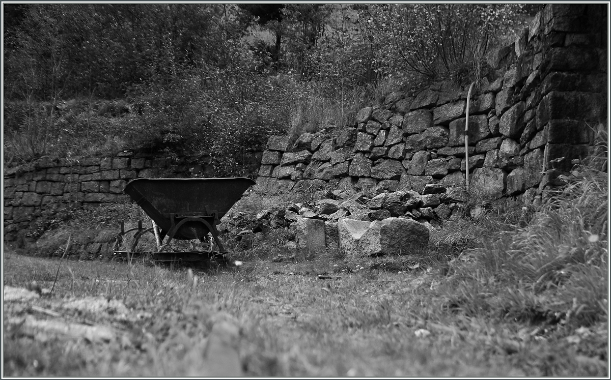 Noch Lohre...
10. Okt. 2014