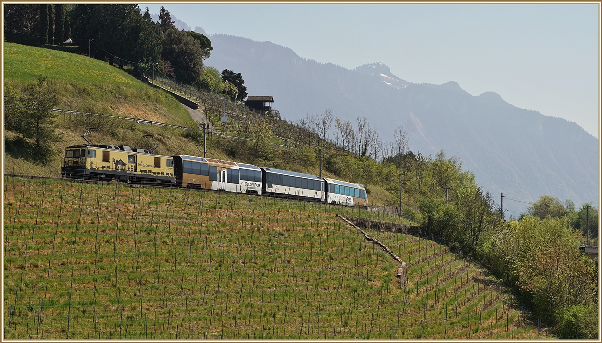 Noch richtig  goldig  zeigt sich bei Planchamp noch Mitte April dieser MOB Zug auf der Fahrt in Richtung Montreux. Gemäss Fahrplan hätte zu dieser Zeit eigentlich ein  MOB Belle Epoque  Zug fahren sollen, doch durch die Umstellung der Fahrzeuge auf die automatische Kupplung kam 
es in diesem Jahr vermehrt durch Änderungen im Umlauf der Kompositionen. 

14. April 2020