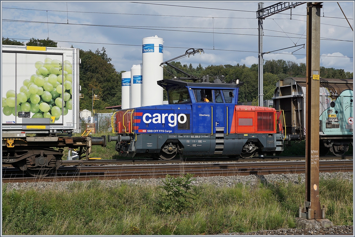 Obwohl klein, passt die Lok nur knapp zwischen den Masten und den abgestellten Wagen: die SBB Cargo Eem 923 005-3  Oberberg  (UIC Eem 97 85 1 923 005-3 SBB-C) in Vufflens la Ville.
29. Aug. 2018