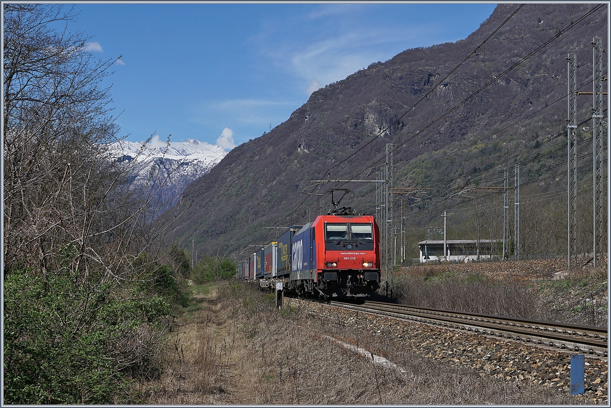 P�nktlich wie die Eisenbahn kommt die SBB Re 484 019 mit ihrer RoLa nach Novara kurz nach Premosello-Chiovenda bei meiner Fotostelle vorbei. Im Hintergrund ist die Doppelspurige Strecken von Domodossla nach Milano zu erkennen, die beiden Strecken von Domodossoala nach Milano und Novara verlaufen zwischen Vogogna Ossola und Cuzzago parallel, wobei nur in Premosello Chiovenda eine �bergangsm�glichkeit existiert. 8. April 2019
