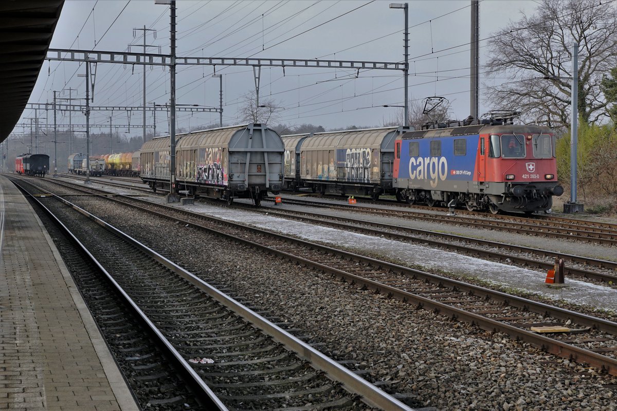 SBB CARGO 421 393-0 in Möhlin am 24. Januar 2019. Im Hintergrund erkennbar ist die SALINE RIBOURG.
Foto: Walter Ruetsch 