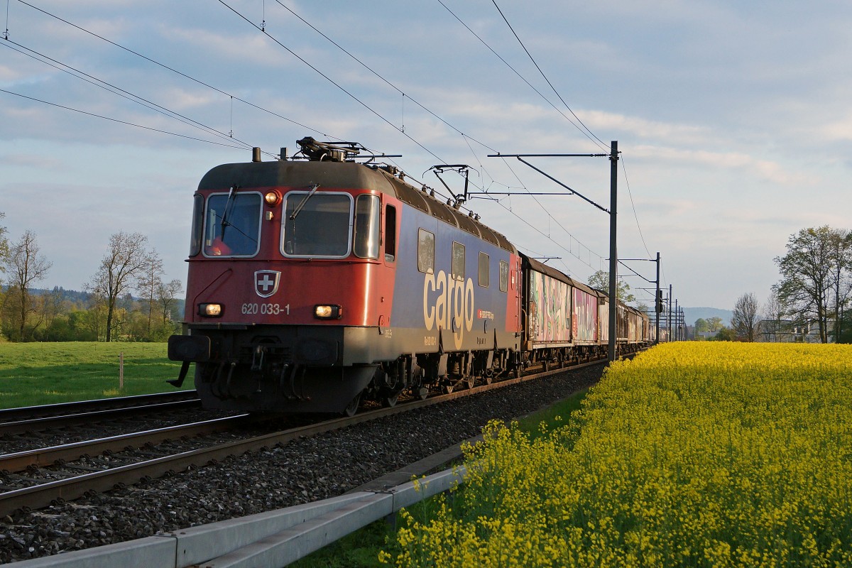 SBB: Güterzug mit Re 620 033-1  MURI AG  im letzten Abendlicht bei Roggwil am 28. April 2015.
Foto: Walter Ruetsch