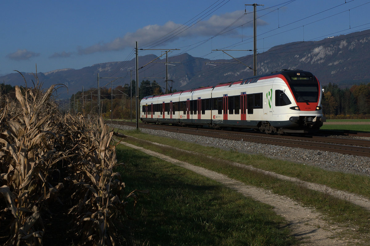SBB: Regio Biel-Olten mit RABe 523 FLIRT bei Deitingen am 3. November 2016.
Foto: Walter Ruetsch  