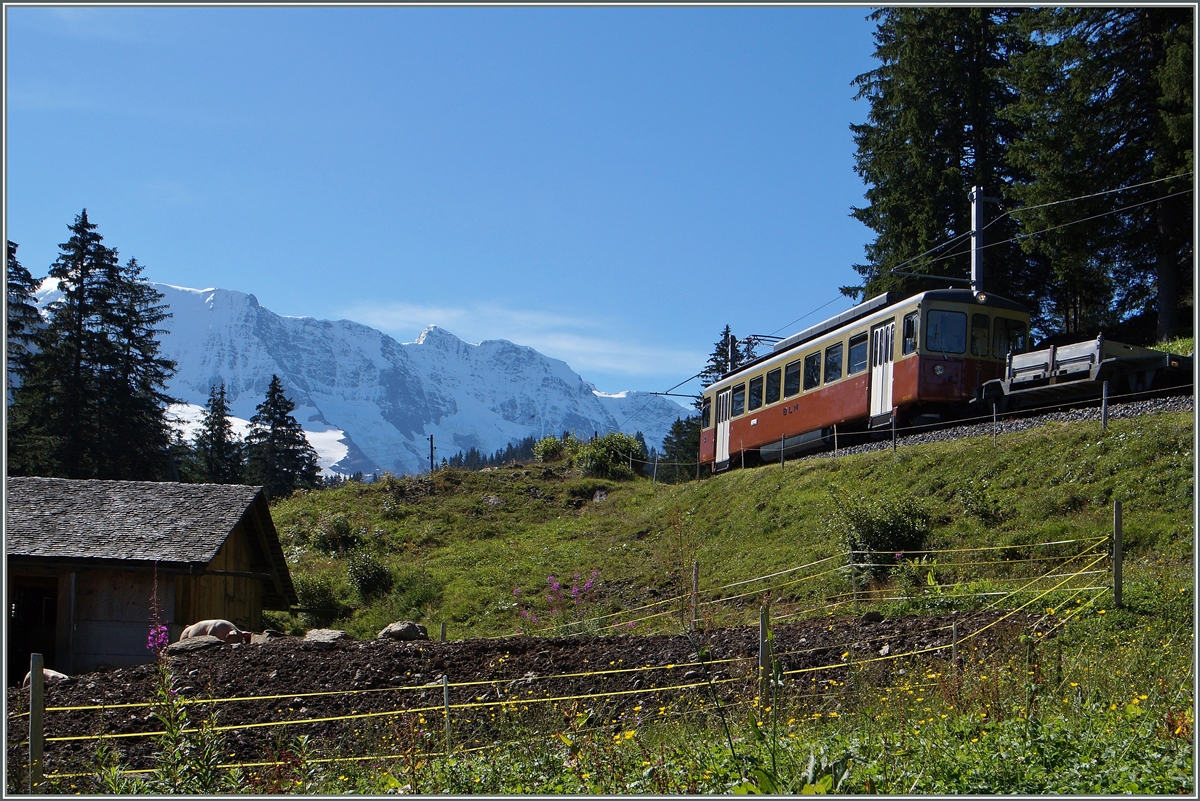  Schwein gehabt  - nicht nur mit dem Wetter...
(Bei Winteregg, den 28. August 2014)