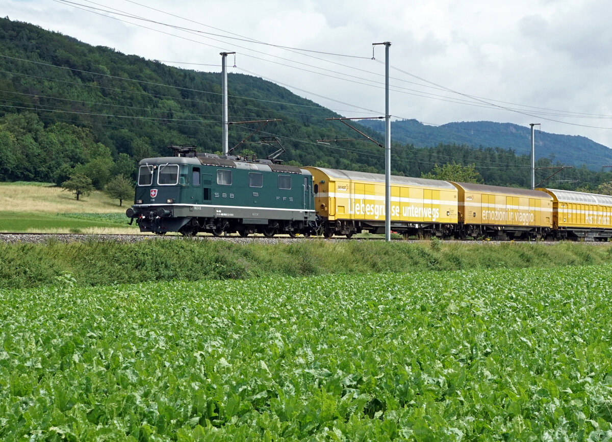 Seit dem 9. Juli 2021 pr�sentiert sich die Re 420 335 von SBB CARGO NATIONAL wieder im gr�nen Kleid. Sogar mit Chrombuchstaben verziert hat sie das IW Bellinzona verlassen ?
Lange Zeit fuhr sie stark versprayt mit G�terz�gen durch die ganze Schweiz.
Postzug H�rkingen-Daillens bei Oensingen am 16. Juli 2021.
Foto: Walter Ruetsch