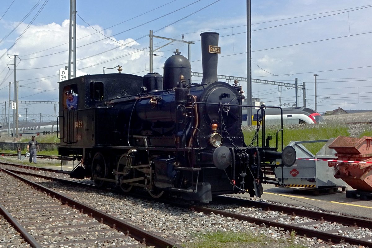 Tigerli 8492 lauft am 25 Mai 2019 um in Brugg AG. 