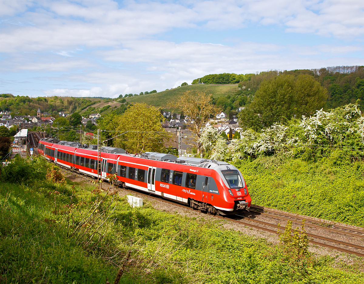 
Und nun der Gegenzug...
Der vierteilige Bombardier Talent 2 - 442 208 / 442 708  Winningen  , als RB 81  Moseltalbahn  (Trier  – Cochem – Koblenz), hat am 28.04.2018 die Mosel �ber die  G�lser Eisenbahnbr�cke �berquert und f�hrt nun durch Koblenz-Moselwei�.