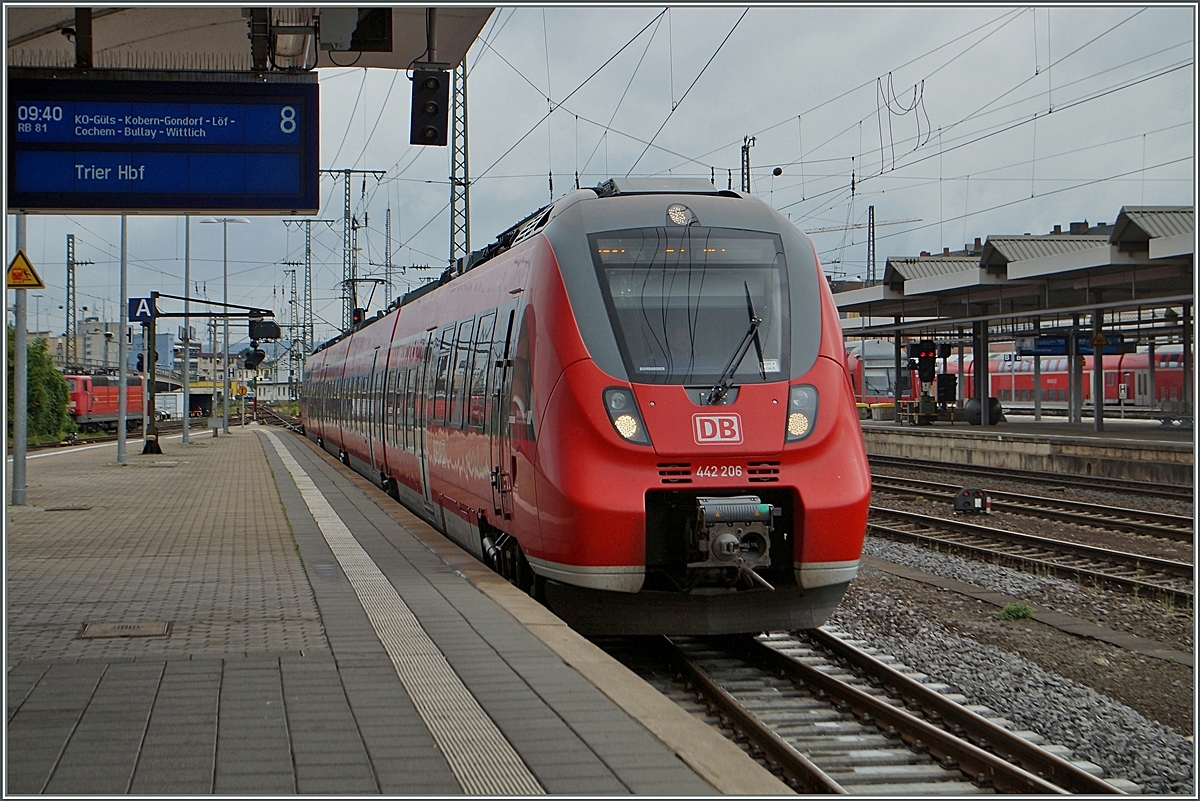 Unser  Hamster  nach Kattenes erreicht Koblenz.
20. Juni 2014