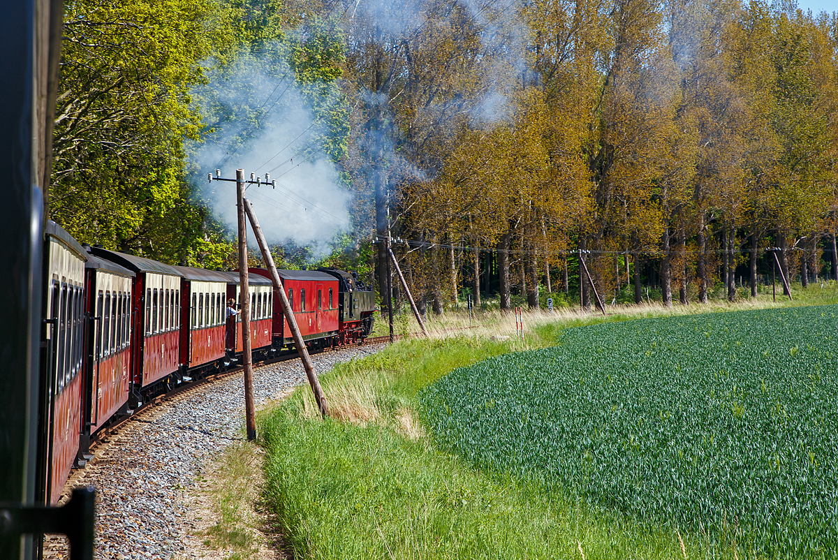 Unterwegs mit dem „Molli“.....
Die 99 2322-8 der Mecklenburgischen B�derbahn Molli zieht den „Molli“ (MBB Dampfzug) am 15.05.2022 von K�hlungsborn in Richtung Heiligendamm.

Die 900 mm-Schmalspur-Dampflok der DR-Baureihe 99.32 wurde1932 von O&K (Orenstein & Koppel, Berlin) unter der Fabriknummer 12401 gebaut und an die DRG - Deutsche Reichsbahn-Gesellschaft als 99 322, f�r die B�derbahn Bad Doberan–K�hlungsborn, geliefert.

