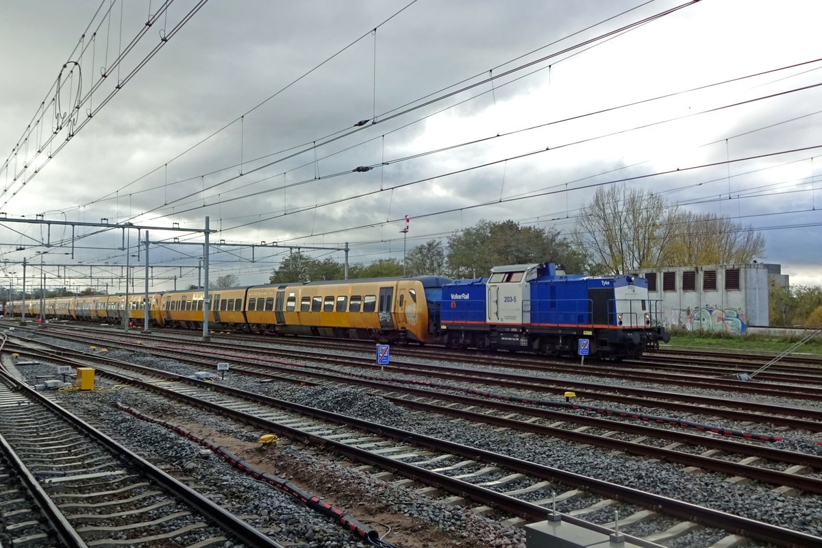 Volker rail 203-5 rangiert mit z-gestellte Triebz�ge in Nijmegen am 13 November 2019.