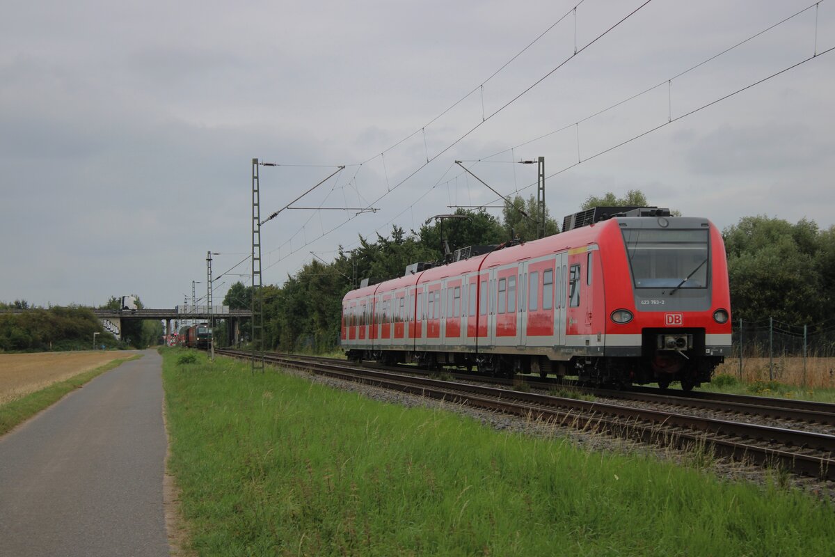 Ziemlich rar ist das Erscheinen einer 423 bei Kaarst Broicherseite, aber am 8 Augustus 2025 würmt sich 423 763 zwischen die RBs und Güterzüge bei Kaarst Broicherseite und wird vom Fusspfad fotografiert.