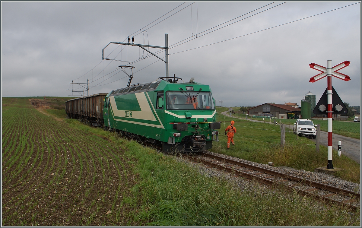 Zuckerrübenverlad auf der freien Strecke bei Mauraz.
Der Zug ist voll und fährt nun Richtung Apples.
15. Okt. 2014