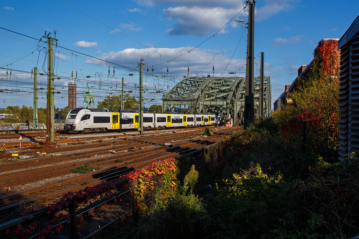Zwei gekuppelte Siemens Desiro ML (460 008-6 und ein Weiterer) der trans regio (MittelrheinBahn) kommen am 08.10.2021, als MRB 26 MittelrheinBahn (Köln Messe/Deutz – Koblenz), über die Hohenzollernbrücke und erreichen den Hauptbahnhof Köln.

Über den Borkenkäfer reitet einer der Hohenzollern, der Kaiser Friedrich III. Vier Reiterstandbilder preußischer Könige und deutscher Kaiser der Hohenzollern-Familie flankieren jeweils die Rampen der Hohenzollernbrücke.

Die Hohenzollernbrücke ist eine Eisenbahnbrücke über den Rhein in Köln in Höhe von Stromkilometer 688,5. Das von 1907 bis 1911 errichtete ursprüngliche Bauwerk bestand aus zwei Eisenbahn- und einer Straßenbrücke. Nach 1945 erfolgte der Wiederaufbau nur noch für zwei Eisenbahnbrücken, die später um eine dritte ergänzt wurden. Als Ersatz für die entfallene Straßenbrücke wurden die äußeren Eisenbahnbrücken um Geh- und Radwege ergänzt.

Bei der Hohenzollernbrücke und dem benachbarten Hauptbahnhof handelt es sich um einen der wichtigsten Knotenpunkte im deutschen und europäischen Eisenbahnnetz. Das Bauwerk gehört als fester Bestandteil zum Stadtbild von Köln und dem Kölner Dom.

Mit 1220 Zugfahrten pro Tag ist sie die meistbefahrene Eisenbahnbrücke Deutschlands. Das Bauwerk gilt, zusammen mit dem Kölner Hauptbahnhof, als zentraler Engpass im Schienenverkehr in der Region Köln.
