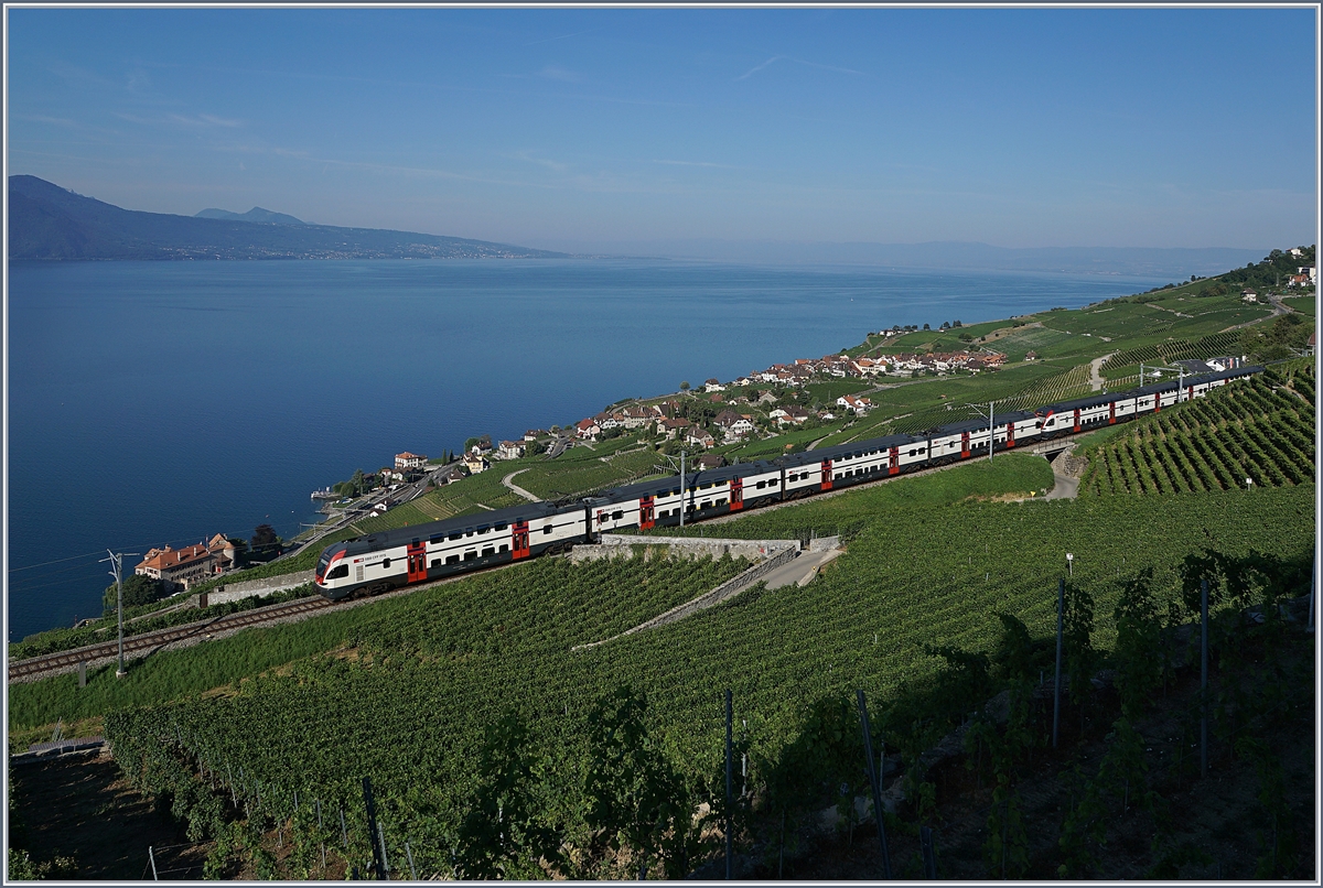 Zwei SBB RABe 511 im Sommerfahrplanverkehr (Genève- Fribourg via Vevey) auf der Train des Vignes Linie bei Chexbres. 

27. Juli 2018