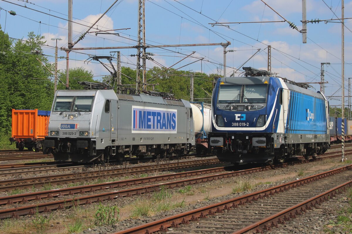 Zwei Tschechischen TRaxxen in Bad Bentheim am 26 April 2025: während die CDC 388 019 nix zu tun hat, zieht Metrans 386 029 ein KLV aus Bad Bentheim in die Niederlande.