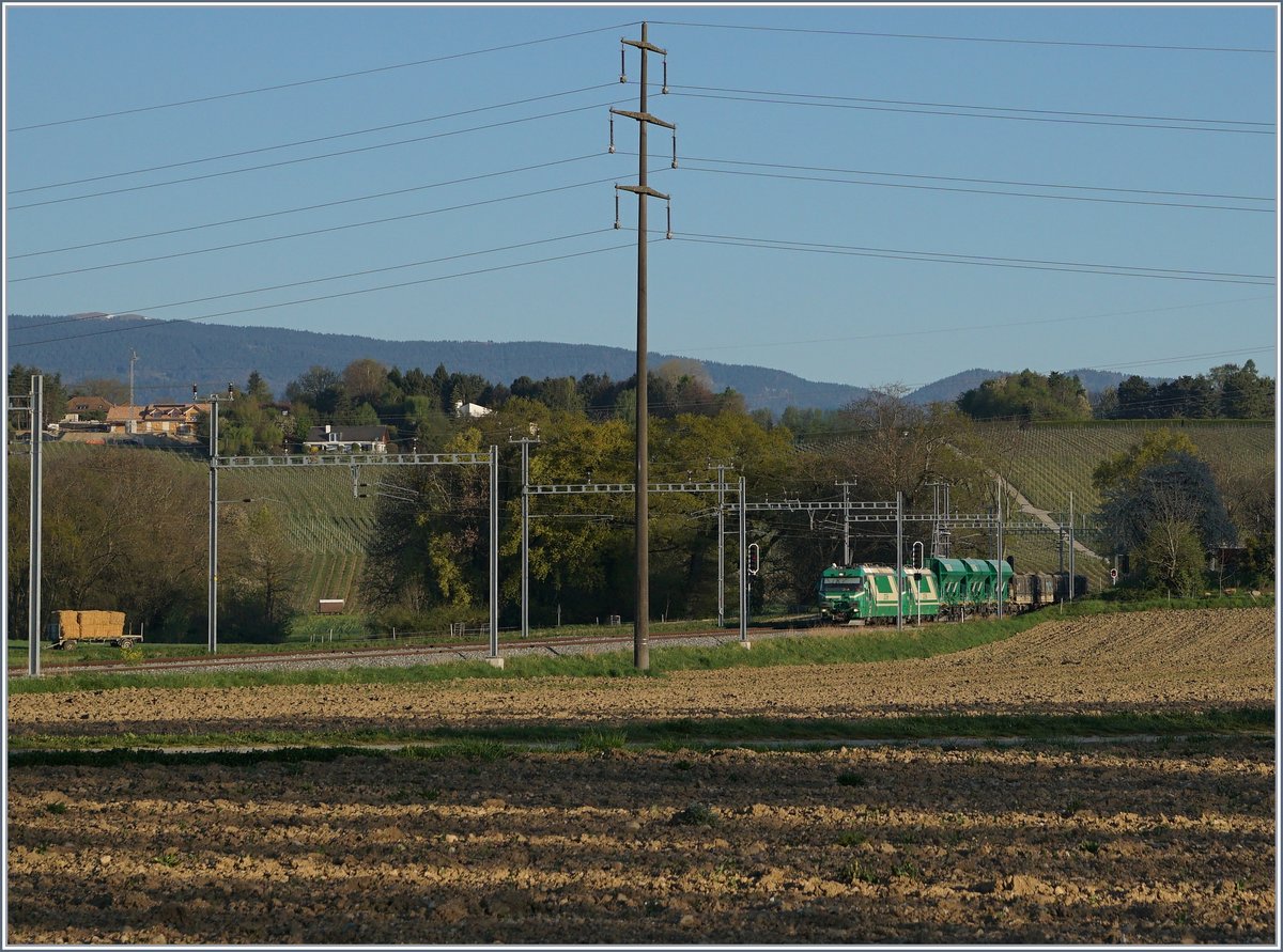 Zwischen vielen Masten in Chigny sind die beiden Ge 4/4 21 und 22 mit ihrem Kieszug zu erkennen.
10. April 2017 