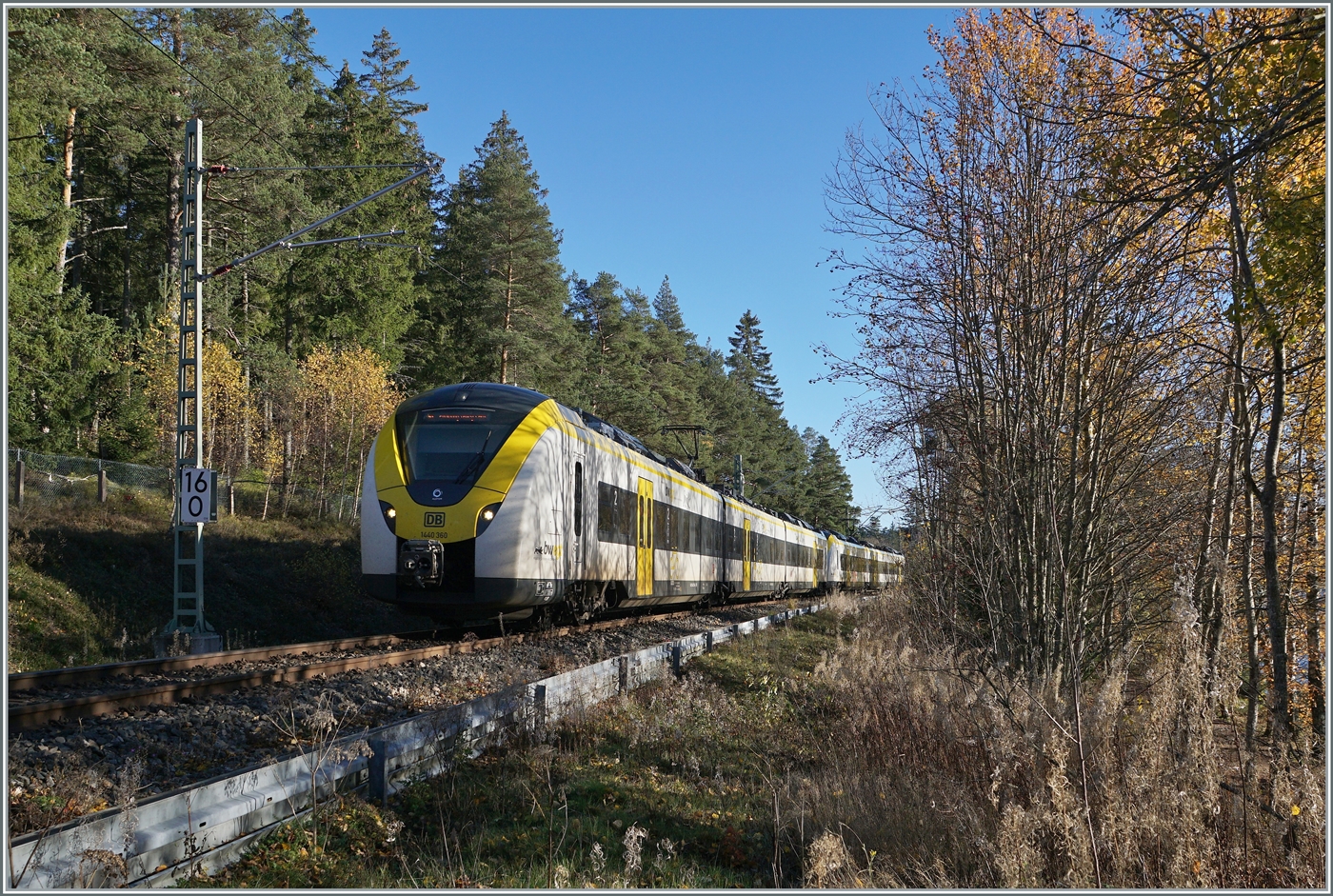 Auf dem Weg nach Titisee fahren zwei  Grisekatzen  (BR 440 - Coradia Continental 2) dem Schluchsee entlang, der hier jedoch durch den Wald nicht zu sehen ist. 

13. Nov. 2022