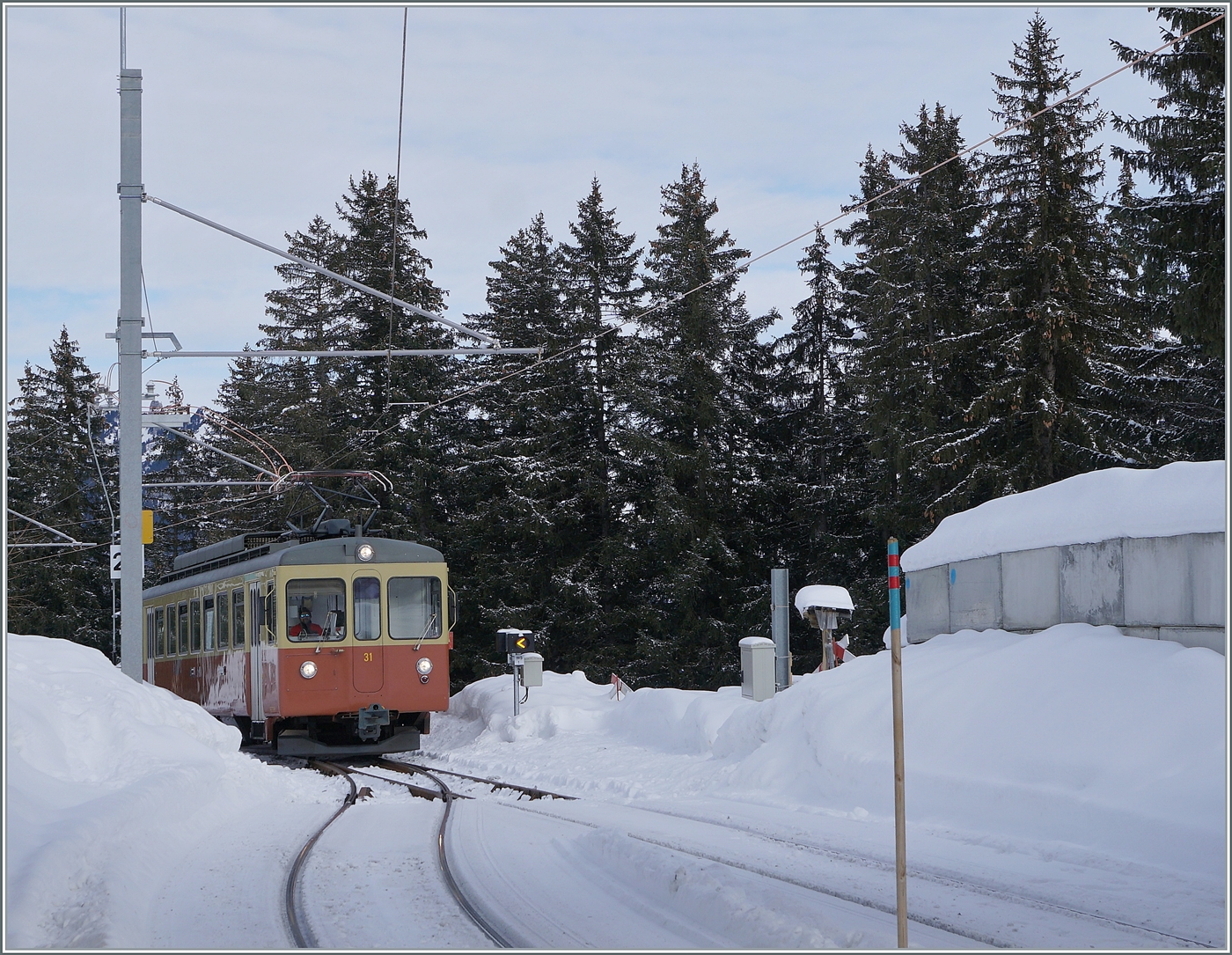 Der BLM Be 4/4 N° 31 (ex Bipperlisi) bei der Einfahrt in Winteregg von der Grütschalp her. Der Triebwagen ist als Regionalzug R66 nach Mürren unterwegs. 

16. Jan. 2024