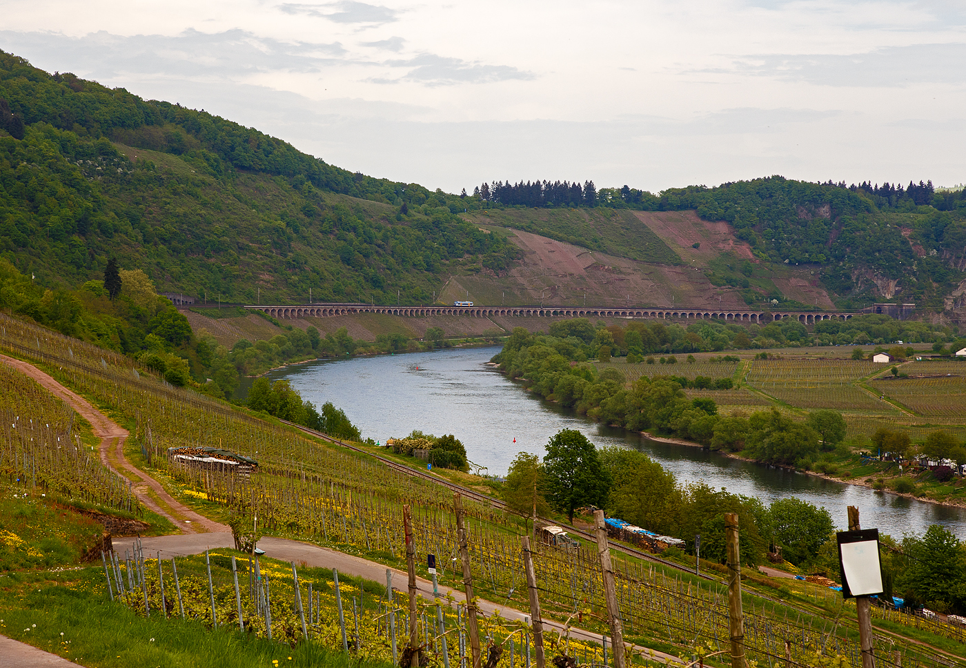 Der Stadler RegioShuttle RS 1 – VEN 650 131  Lilly  (95 80 0650 131-5 D-VEN) der Rhenus Veniro fährt am 29.04.2018, als RB 85  Moselweinbahn  (Bullay - Traben-Trarbach), auf dem Pündericher Hangviadukt in Richtung Reil. Kurz hinter dem Viadukt (bei km 61,993), beim ehem. Pbf Pünderich ist dann der Abzweig auf die 10,4 km lange „Moselweinbahn“ die Bahnstrecke Pünderich - Traben-Trarbach (KBS 691), hier unten rechts im Bild, wo dann gleich der VT auftaucht. 

Der 786 m lange Pündericher Hangviadukt auf der Moselstrecke gegenüber von Pünderich an der Mosel ist der längste Hangviadukt in Deutschland. Unmittelbar am nördlichen Ende des Viaduktes beginnt der Prinzenkopftunnel (hier rechts im Bild). Der Hangviadukt ist etwa zehn Meter hoch und weist 92 Bögen auf. Jeder der Bögen hat eine lichte Weite von 7,20 m, die Pfeiler sind 1,30 m stark. Die Brücke besteht aus Bruchsteinen aus einem nahegelegenen Steinbruch und Ziegelsteinen, die von Ziegeleien aus Merl und St. Wendel geliefert wurden. Insgesamt wurden 19.000 m3 Mauerwerk verbaut.
