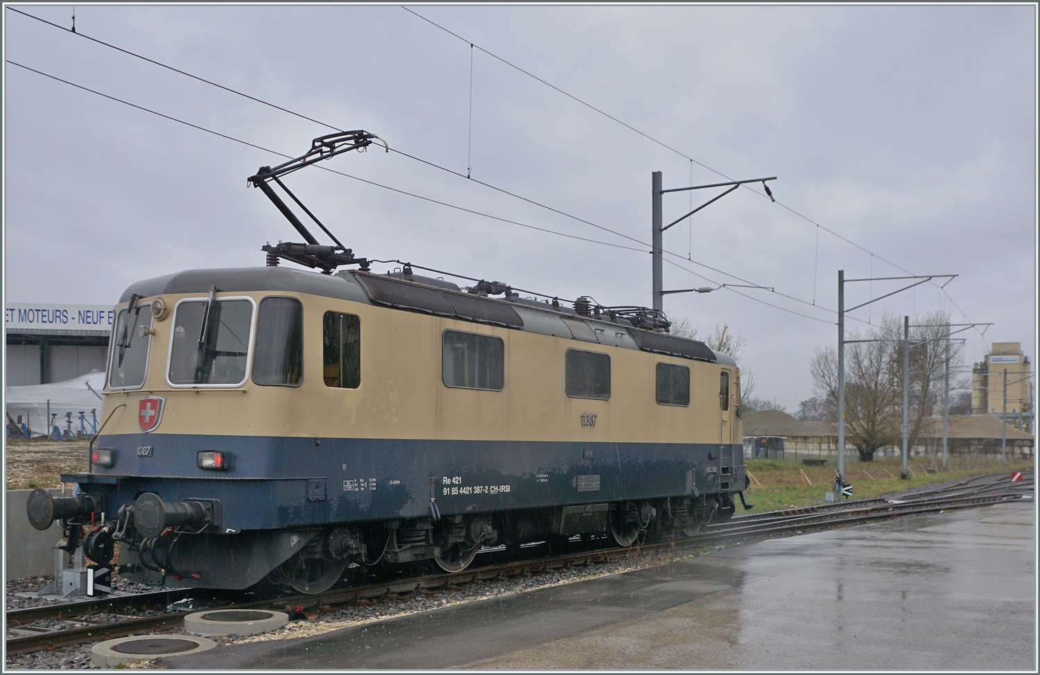 Die von Morges gekommene IRSI/IGE  Rheingold  Re 4/4 II 11387 (Re 421 387-2) verlässt in Gland die Strecke nach Genève und fährt in über ein Industriegleis in Richtung Kieswerk, um dort ihren Zug nach Apples abzuholen. Die angemietete IRSI/IGE Re 4/4 II 11387 (Re 421 387-2) ersetzt die zur Zeit in der Revision in Bellinzona weilende BAM MBC MBC Re 420 506.
Das schlechte Wetter hatte den Vorteil, nicht in den Konflikt mit dem Gegenlicht zu kommen, doch Regentropfen auf der Linse verdarben doch das eine oder andere Bild. Und auch auf diesem Bild trübt ein Rgen-Tropfen das Vergnügen.

22. Feb. 2024