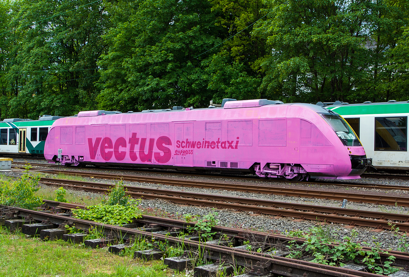 Ein beschmierter LINT 27 der Vectus Verkehrsgesellschaft mbH, eigentlich schon gerade in der neue „damals zukünftigen“ Farbgebung der HLB am 18 Mai 2014 abgestellt beim Bahnhof Westerburg. 

Als Rosa  Schweinetaxi  fuhr er kurz durch den Westerwald. Die Täter, die einen Zug der Vectus Verkehrsgesellschaft in ein rollendes rosa  Schweinetaxi  verwandelten, konnten in flagranti bzw. auf frischer Tät ertappt und von der Bundespolizei Trier in Siershahn festgenommen werden. Ein Sprayer-Paar aus Hamburg bekam nicht nur eine Strafanzeige, auch eine saftige Rechnung der Vectus GmbH von über 15.000 Euro. 

Selbst Türen und Fenster blieben von der Attacke nicht verschont. Zusätzlich wurde ein großer Schriftzug aufgebracht, der den Zug als “Vectus Schweinetaxi“ betitelte. Da die Fenster sind ebenfalls zugekleistert waren, hatten die Passagiere auch ihr Nachsehen und konnten nicht die Landschaft vom schönen Westerwald sehen. Zum Glück haben die Triebwagen ja eine Innenbeleuchtung, sonst hätten die Passagiere drinnen im Dunkeln sitzen müssen. 

Ich hoffe sehr das das Bild keine Werbung für die Sprayer ist, sondern doch eher eine Abschreckung. Sprayer besprüht Eure eigenen Sachen und nicht die von anderen Leuten. Schönheit ist auch etwas anderes….
