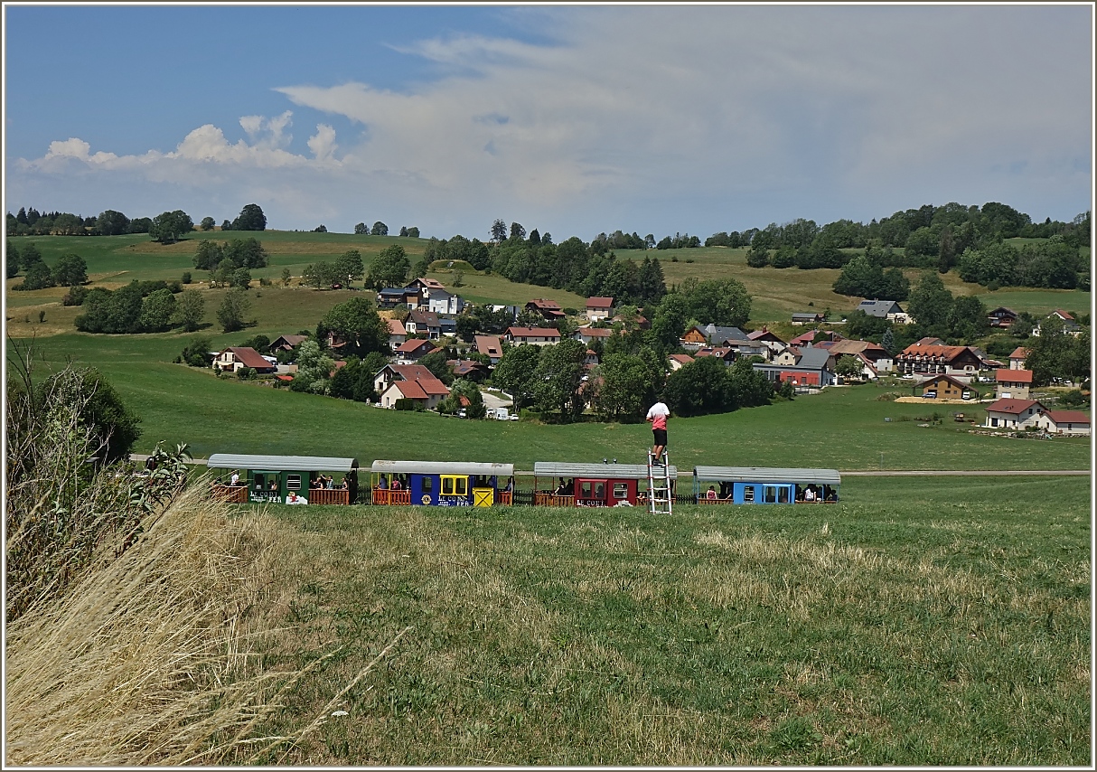 Einst hatten wir den Gedanken  man sollte eine Leiter haben! . Andere hatten nicht nur den 
Gedanken, sondern setzten die Idee auch in die Tat um. Ehrlich gesagt, ich finde es ist eine etwas riskante Umsetzung des Gedanken. 
(15.07.2023)