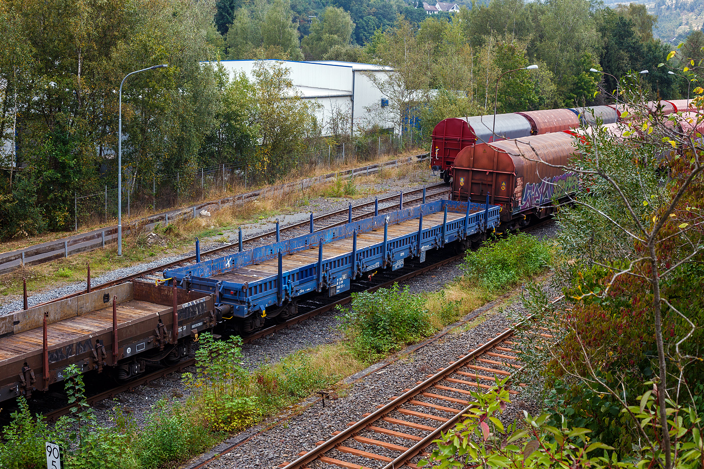 Leerer vierachsiger Drehgestell-Flachwagen, mit Seiten- und Stirnwandklappen und mit Rungen, 37 80 3988 122-2 D-ERR der Gattung Rens 1 der ERR European Rail Rent GmbH (Duisburg), am 06 September 2024 abgestellt im Zugverband auf dem Rbf der KSW.

Diese Wagen wurde 2010 von der TRAKTSIA AD (AG) in Samuil (Bulgarien) gebaut. Die Wagen entsprechen in allen wesentlichen Merkmalen der UIC-Standardbauart eines Res, die Lastgrenze ist etwas höher, daher aus das zusätzliche „n“. Die Güterflachwagen der Bauart Rens sind für die Beförderung von schweren Walzprofilen, Rollmaterial, Schnittholz, und anderen Ladungen, die keinen Witterungsschutz benötigen, vorgesehen. 

Der Wagen ist mit zwei Stirnwandklappen und mit 18 Seitenwandklappen ausgerüstet. Die Klappen sind in Stahlausführung hergestellt. Die Stirnwandklappen können mit Fahrzeugen bis zu einer Radkraft von 50 kN befahren werden. Vor den umlegbaren Stirnwänden sind je zwei absenkbare Rungen angeordnet. Der Wagen kann mit umgelegten Stirnwänden und abgesenkten Rungen gefahren werden. An jeder Längsseite hat der Wagen 8 Drehrungen, 8 versenkbaren Gleitrungen und insgesamt 20 im Fußboden versteckten absenkbaren Verzurreinrichtungen im Fußboden. Mit heruntergeklappten Seitenwänden kann der Wagen nur mit Lademaßüberschreitung befördert werden. Der Fußboden besteht aus 7 cm dickem Nadelholz, er kann eine Radlast von 5,0 t aufnehmen. Der Wagen besitzt eine automatische Druckluftbremse Bremsbauart KE-GP-A 12″, sowie eine handbetätigte Feststellbremse.
	
TECHNISCHE DATEN:
Spurweite: 1.435 mm (Normalspur)
Anzahl der Achsen: 4 in 2 Drehgestellen
Länge über Puffer: 19.900 mm
Drehzapfenabstand:  14.860 mm
Achsabstand in den Drehgestellen: 1.800 mm
Laufraddurchmesser: 920 mm (neu)
Drehgestellbauart: Y25Ls1 (K)V
Achslagerbauart: BA 182
Eigengewicht: 23.500 kg
Ladelänge x -breite: 18.504 mm x 2.646 mm
Ladefläche: 49,0 m²
Höhe Fußboden: 1.260 mm
Maximale Ladegewicht: 66,5 t (ab Streckenklasse D)
Höchstgeschwindigkeit: 100 km/h (beladen) / 120 km/h (leer)
Kleinster befahrbarer Gleisbogenhalbmesser: R 35 m
Bremse: KE-GP-A (K)
Bremssohle: Jurid 816M
Feststellbremse: ja
Internationale Verwendungsfähigkeit: TEN GE / G1
