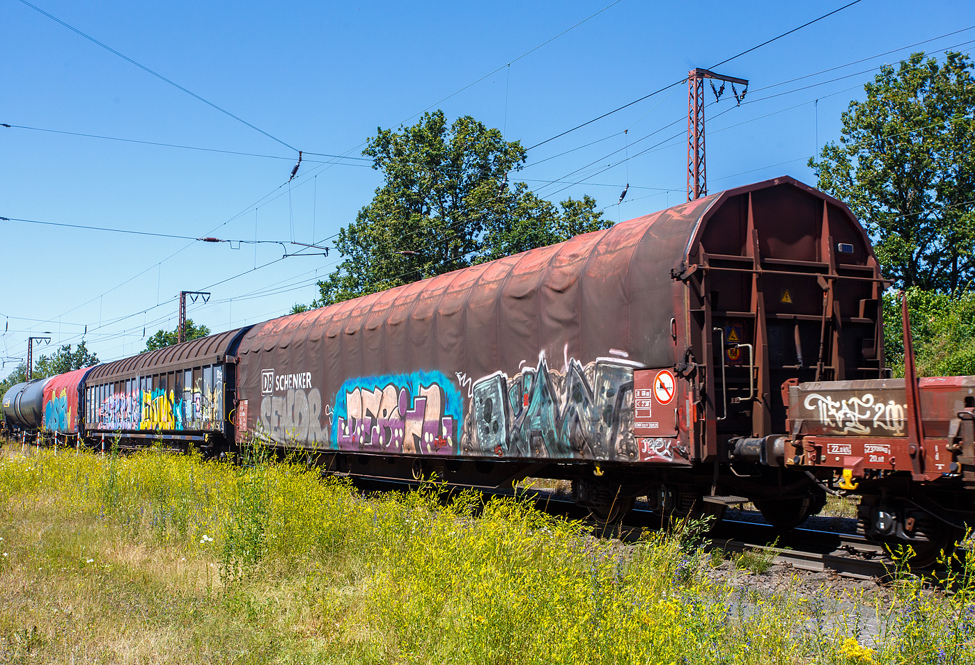 Vierachsiger Drehgestellflachwagen mit verschiebbarem Planenverdeck und mit Rungen, 31 80 3553 010-0 D-DB, der Gattung Rins 655, der DB Cargo AG, am 28 Juni  2024 im Zugverband bei einer Zugdurchfahrt durch Wilnsdorf-Rudersdorf (Kreis Siegen). 

Diese Drehgestell-Flachwagen eignen sich aufgrund des Planenverdecks besonders zum Transport nässeempfindlicher Güter. Im geöffneten Zustand ist die Ladefläche zu 2/3 freigelegt.

Das Untergestell ist eine Schweißkonstruktion, bestehend aus Profilträgern und Blechen aus Stahl der Güte St 52-3. Die Stirnwände bestehen aus je zwei äußeren und mittleren Säulenkonstruktionen mit einer Stahlbeblechung sowie dem Rahmenprofil zur Aufnahme des Dichtprofils.

Die Wagenabdeckung erfolgt mit einer PVC-beschichteten Gewebeplane, die auf 18 Rohrrahmen aufliegt. Über Laufwagen ist das Planendach in Wagenlängsrichtung verschiebbar. Die Verriegelung des Planendaches an den Stirnwänden erfolgt wie beim Rilns 654 über eine 4-Punkt-Zentralverriegelung, die sowohl vom Erdboden als auch von der Rampe aus bedient werden kann. Das Planendach lässt sich an einem Wagenende so weit zusammenschieben, dass ca. 2/3 der Ladefläche zur Beladung freigegeben wird. Um eine bessere Ausnutzung des Laderaumes zu gewährleisten, ist die Spriegelkonstruktion mit einer Spreizeinrichtung ausgerüstet. 

Je Wagenlängsseite sind 8 abklappbare Rungen mit einer Höhe von 1.300 mm über Fußbodenoberkante vorhanden, die den Transport von Stab- und Formstählen, Rohren usw. ermöglichen. Je Wagenlängsseite sind am äußeren Fußbodensaumeisen 10 Verzurrösen und an den Innenseiten der Stirnwände je 4 Verzurreinrichtungen vorhanden. Zur seitlichen Ladungssicherung sind über die gesamte Wagenlänge 20 mm über Fußbodenoberkante stehende Leisten (Saumeisen) angeordnet. Zusätzlich kann hierzu eine 50 mm hohe Ladungssicherung mit einem lichten Maß von 2.500 mm (Ladebreite) aufgestellt werden. Im Fußboden vorhandene Lochleisten mit einer Lochteilung von 50 bzw. 100 mm ermöglichen ein weiteres Sichern der Ladung gegen Querverschub mittels steckbarer Sicherungselemente.

TECHNISCHE DATEN (laut Anschriften):
Erstes Baujahr der z. Z. ältesten Wagen: 1997
Spurweite: 1.435 mm (Normalspur)
Anzahl der Achsen: 4 in 2 Drehgestellen
Länge über Puffer: 20.000 mm
Drehzapfenabstand:  14.860 mm
Achsabstand in den Drehgestellen: 1.800 mm
Laufraddurchmesser: 920 mm (neu)
Eigengewicht: 24.200 kg
Ladelänge: 18.510 mm
Ladebreite: 2.710 mm (zwischen den Rungen  2.540 mm)
Ladefläche: 50,2  m²
Laderaum: 118,0 m³
Maximale Ladegewicht: 65,5 t (ab Streckenklasse D), auf DB CM 59,5
Höchstgeschwindigkeit: 100 km/h (beladen) / 120 km/h (leer)
Kleinster befahrbarer Gleisbogenhalbmesser: R 35 m
Bremse: KE-GP-A  (LL)
Feststellbremse: ja
Internationale Verwendungsfähigkeit: RIV