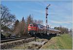 Noch einmal die DB 218 409-1, nun schiebend auf der Fahrt Richtung Aulendorf (-> SEV Ulm) beim Einfahrsignal F von Nonnenhorn, dass der RE Freie Fahrt signalisiert.
