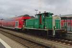 Lokvermietung Sascha dehns 364 767 rangiert mit ein RE in M�hldorf am 12 September 2024.